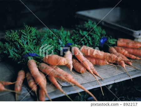 Fresh ginseng 892217