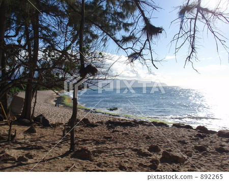 North shore coast North shore coast 892265
