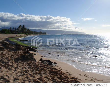North shore coast North shore coast 892267