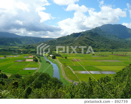 rural districts, kauai, hawaii 892739