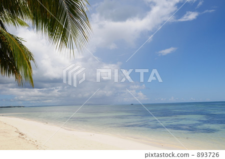 海灘度假村 893726