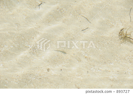 Sazanami背景圖像 893727