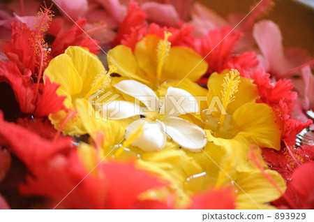 Plumeria Hibiscus Flower Basket 893929