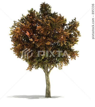 Tree clipping 895336