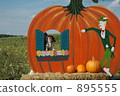 pumpkin field, halloween, pet 895555