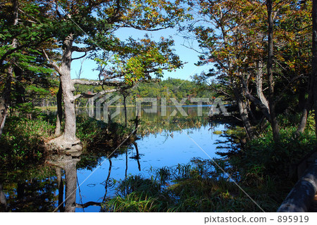 Nature of Shiretoko Gofu 895919