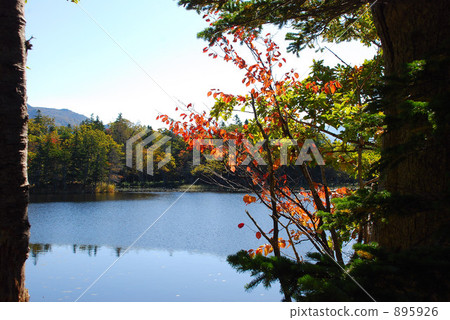 知床Gofu的性質 895926