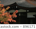 maple, yellow leafe, temple 896171