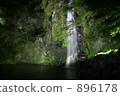 fall, water fall, waterfall 896178