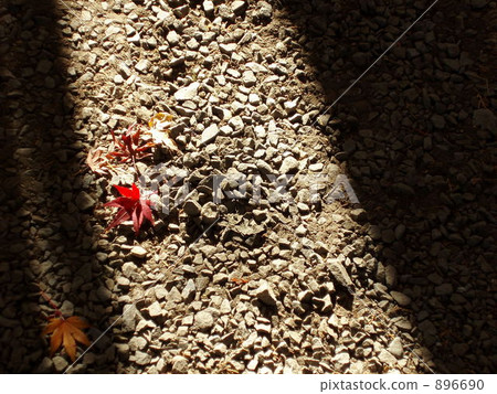 鵝卵石 砂礫 地面 896690