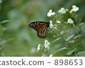 Black Cathedral 898653