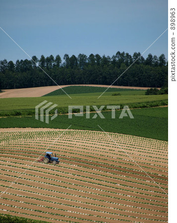 Harvest scenery ③ 898963
