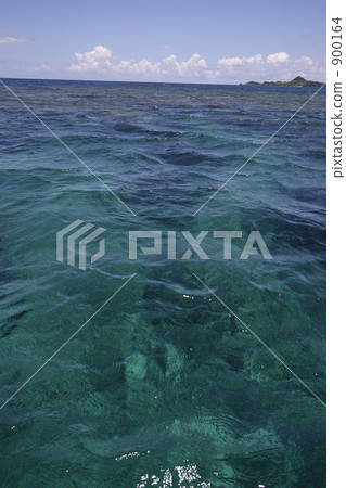 sea surface, surface of the sea, clear 900164