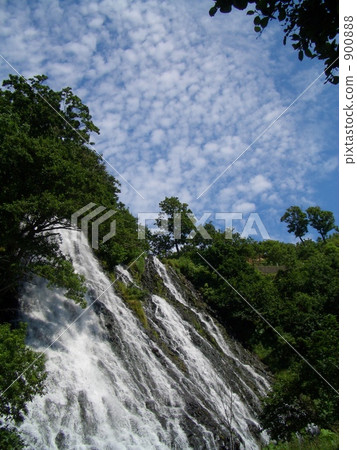 夏天Oshincosin 900888