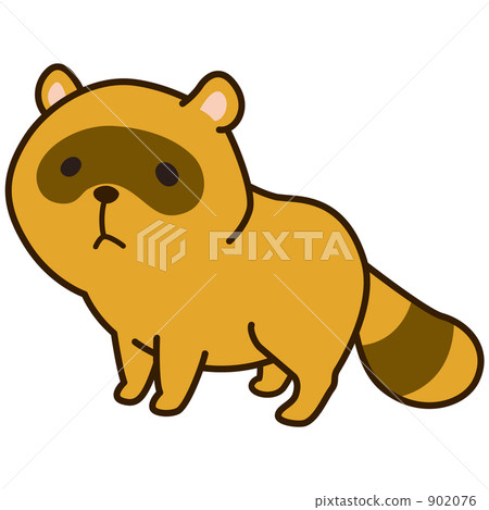 Raccoon Raccoon 902076