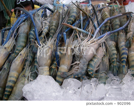 freshwater prawn, seafood, up 902096