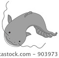 鯰魚 903973