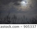 Moonlight of Shikoku Karsto 905337