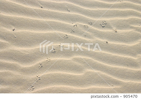 sand beach, sandy beach, footmark 905470