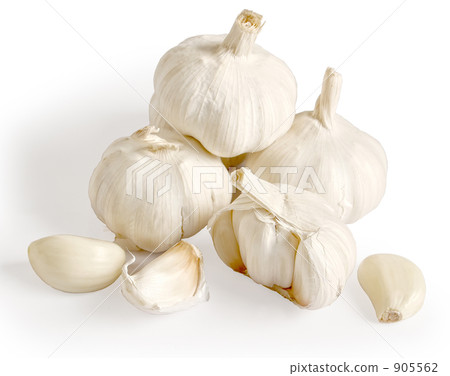 Garlic 905562