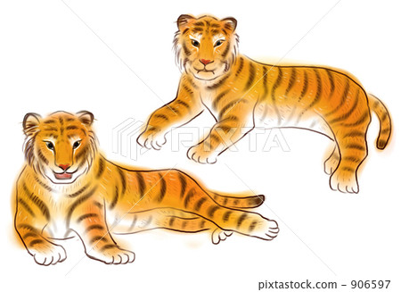 兩隻12隻老虎 906597