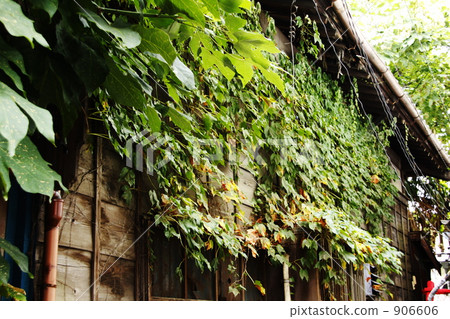 智子的工廠 906606