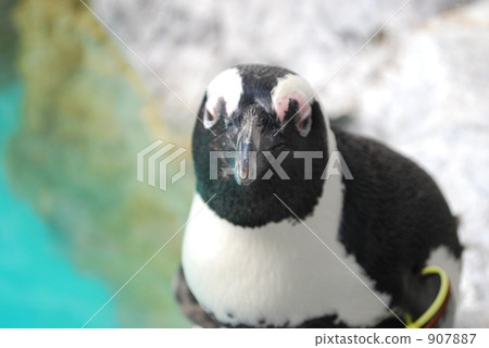 lifting, raising, up 907887