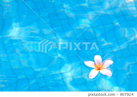 漂浮在藍色的羽毛 漂浮在藍色的羽毛 907924