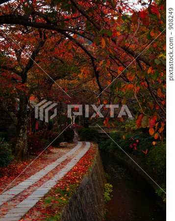 philosopher's walk, brook, creek 908249