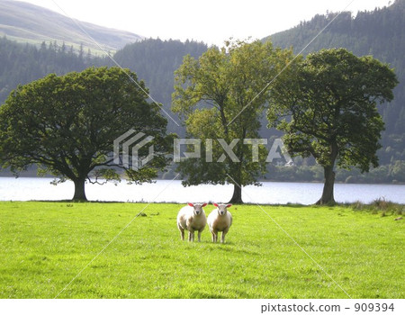 A good friend 909394