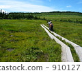 marsh, wetlands, hachimantai 910127