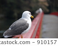 abide, bide, continue 910157