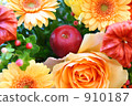 Apples and flowers Apples and flowers 910187