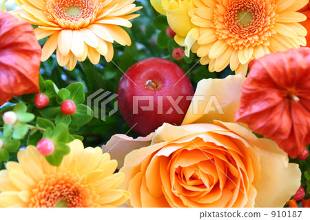 蘋果和鮮花 蘋果和鮮花 910187
