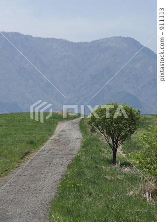 農圃道 本木 鄉間小路 911113