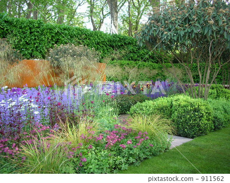 花園 花朵 花 911562