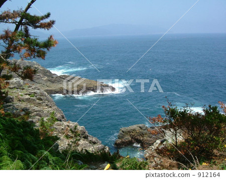 goishi coast, iwate prefecture, trees 912164