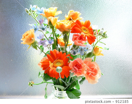 bloom, blossom, blossoms 912185