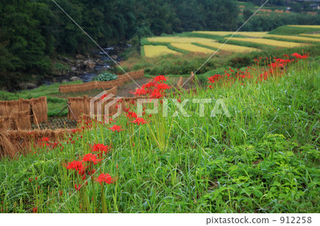 Yufuin稻田和Higanbana 912258