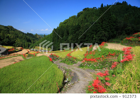 Terada和Higanohana 912373