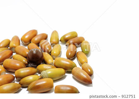 Lots of acorns bird's eye view left Lots of acorns bird's eye view left 912751