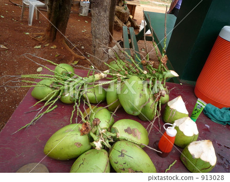 Palm fruit 913028