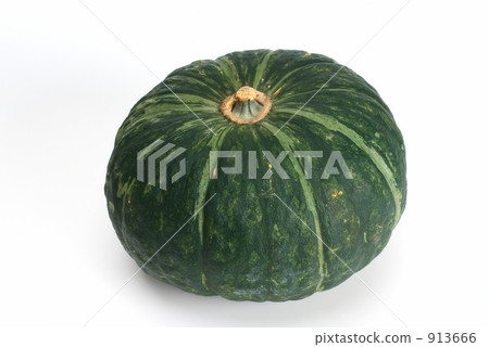 南瓜 913666
