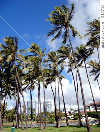Ala Moana·海灘公園 913710