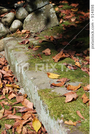 一座古廟的一個生苔石步 一座古廟的一個生苔石步 914898