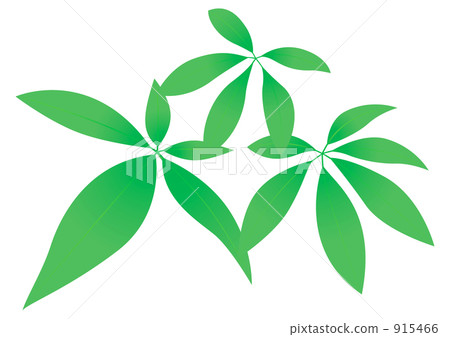 三個pakira葉子 915466