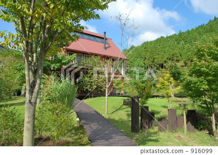 商店 花園 建築 916099