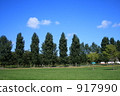 柱廊 街道樹 原野 917990
