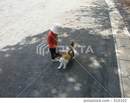 little child, toddler, baby boy 918102