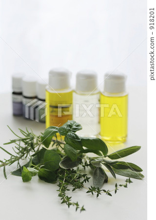 芳香療法 羅勒 羅勒屬植物 918201